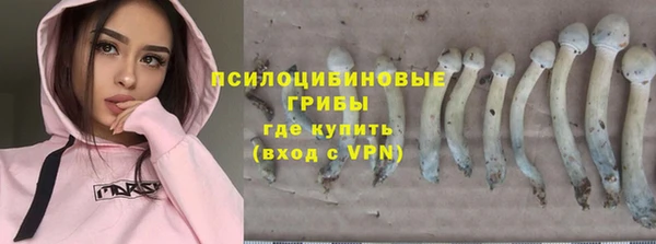 круглые Белокуриха