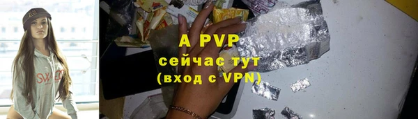 круглые Белокуриха