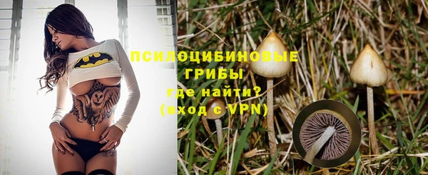 круглые Белокуриха