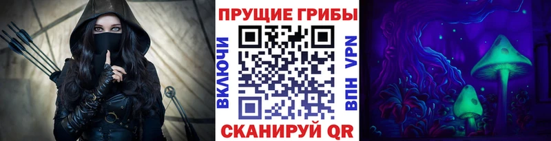 закладка  Верхний Тагил  OMG ТОР  Псилоцибиновые грибы ЛСД 